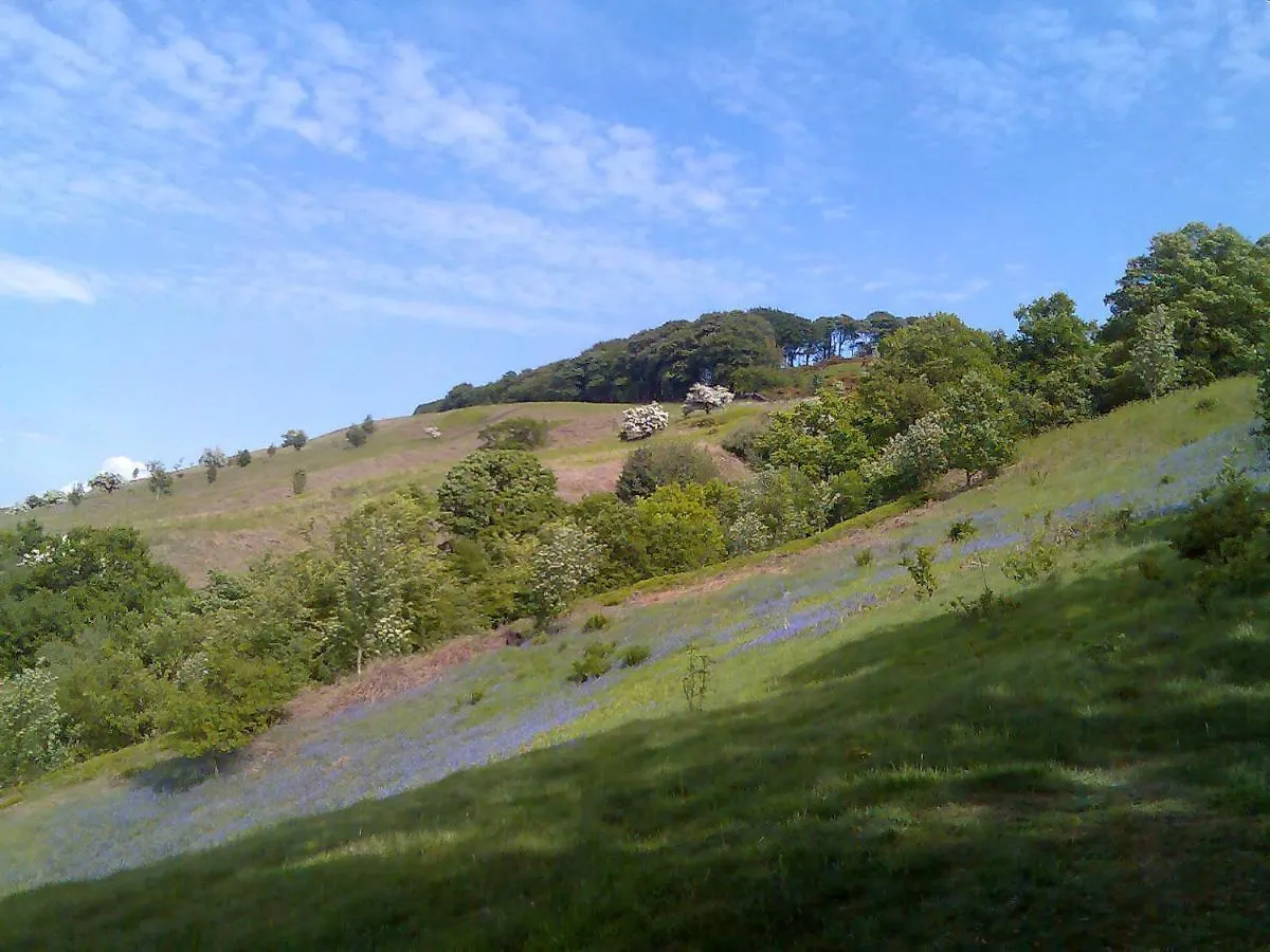 Casa vacanze Wynnville Embsay